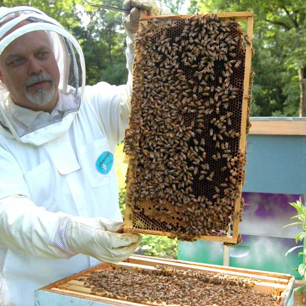 Big Moon Beeswax uses only 100 percent pure beeswax in our candles.