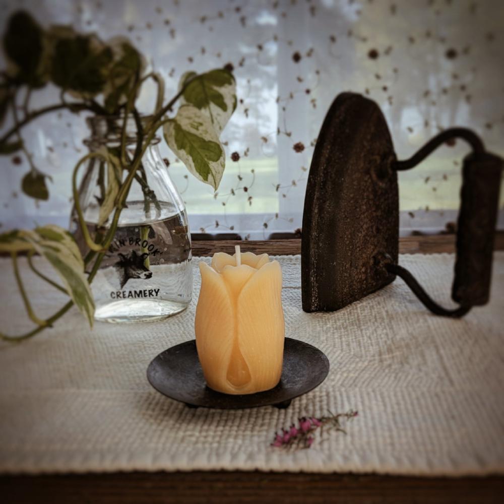Beeswax Mini Pillar Tulip - Big Moon Beeswax