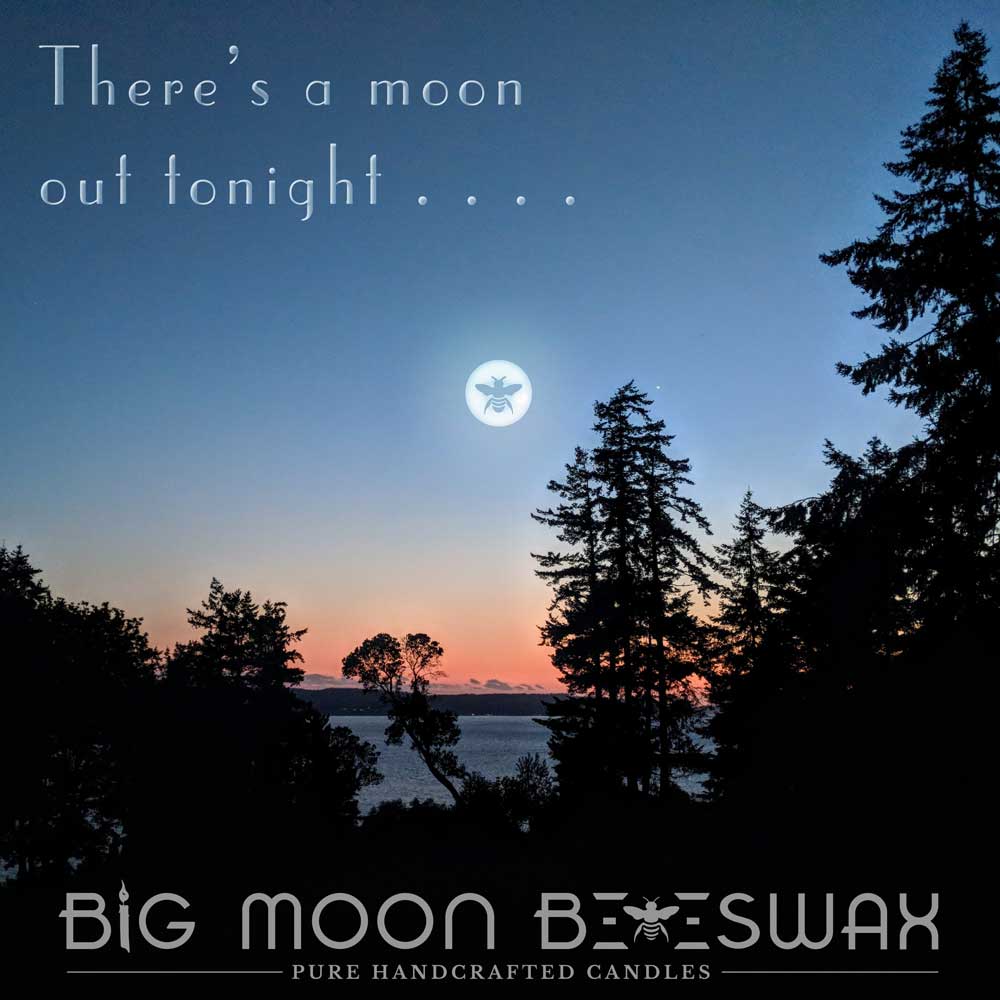 Big Moon Beeswax Studio