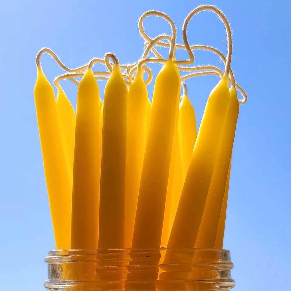 yellow beeswax tiny taper candles with the sun shining through them