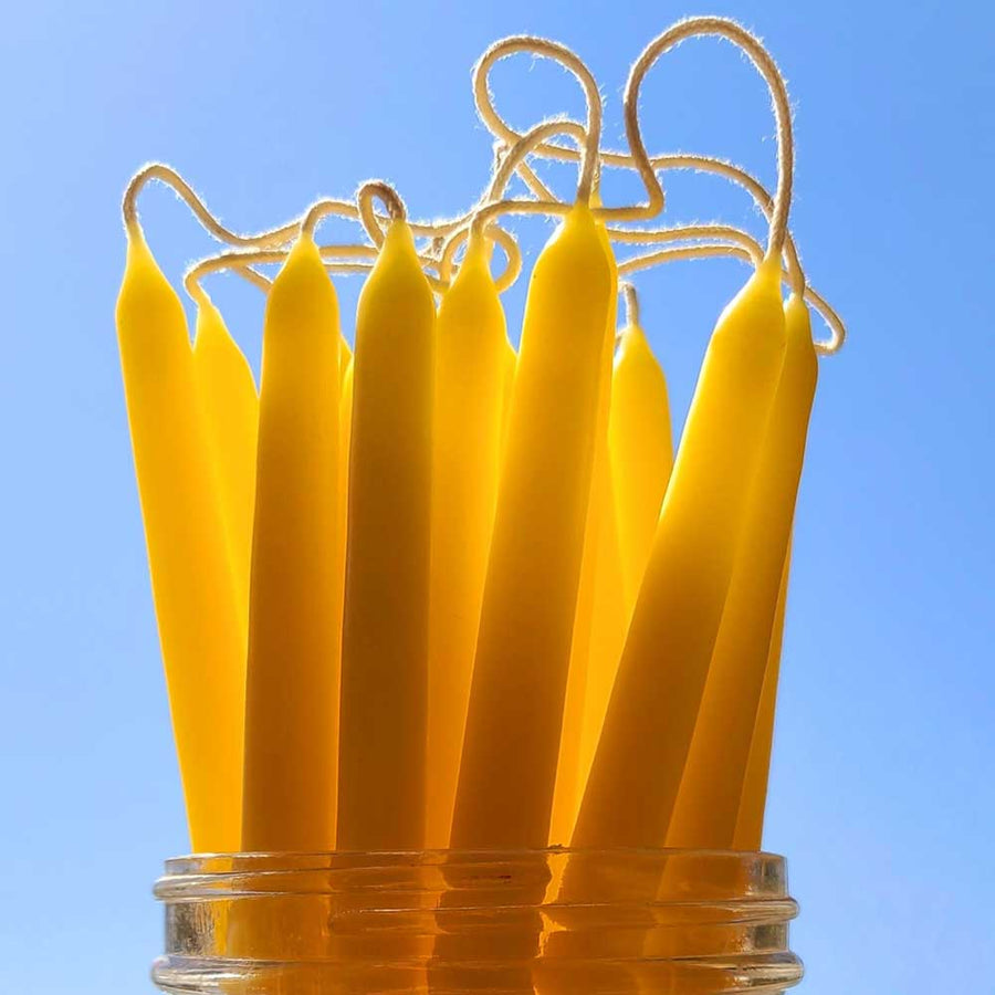 yellow beeswax tiny taper candles inside a glass holder
